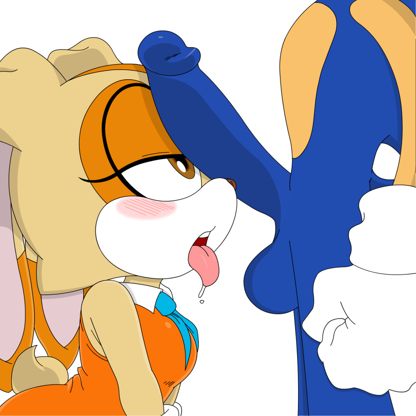 1boy 1girl anthro blush cream_the_rabbit erect_penis fellatio furry mouth_open penis penis_on_face sega sonic_the_hedgehog sonic_the_hedgehog_(series)