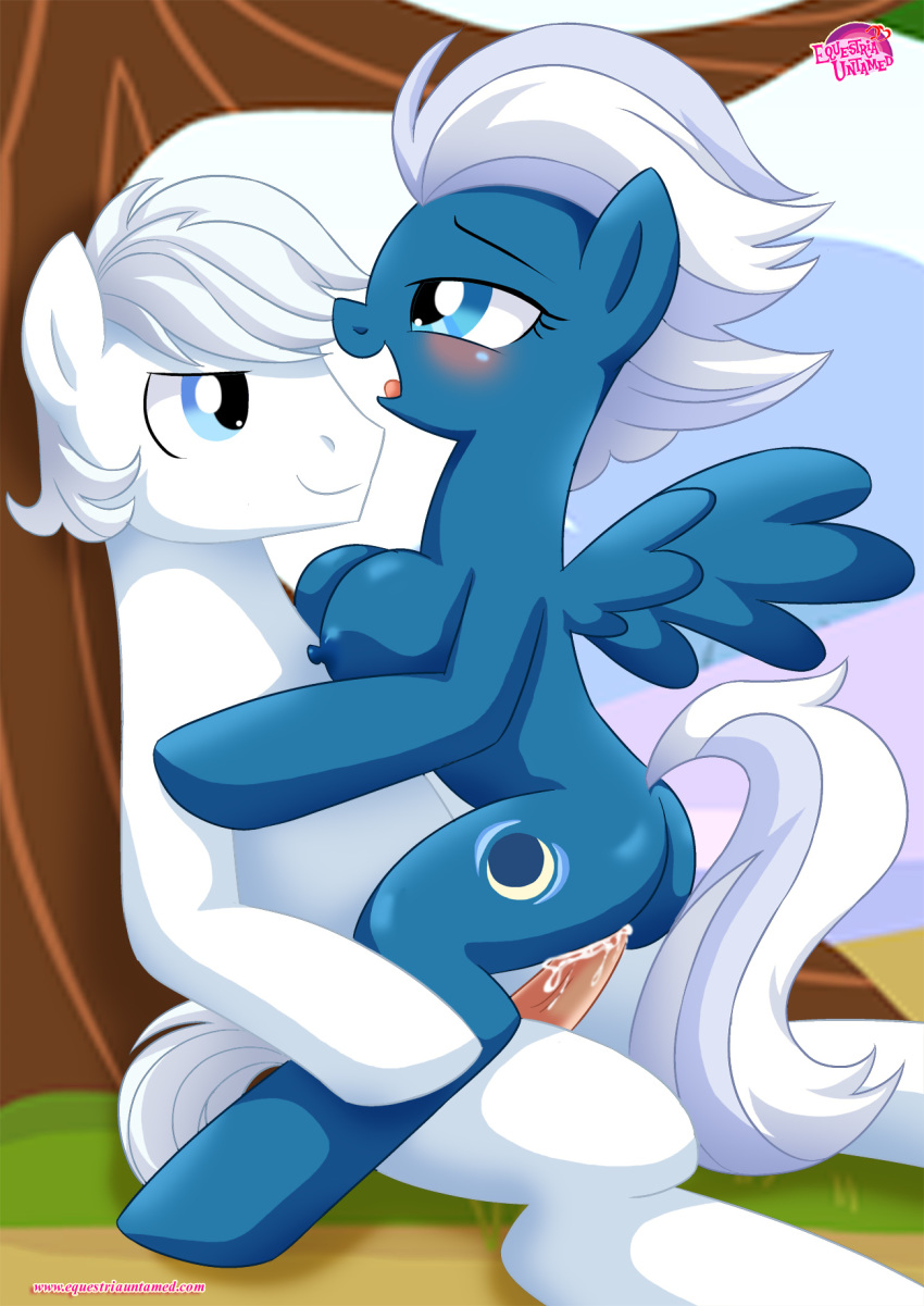 1boy 1girl breasts cutie_mark double_diamond equestria_untamed friendship_is_magic male/female my_little_pony night_glider sex tagme tail wings