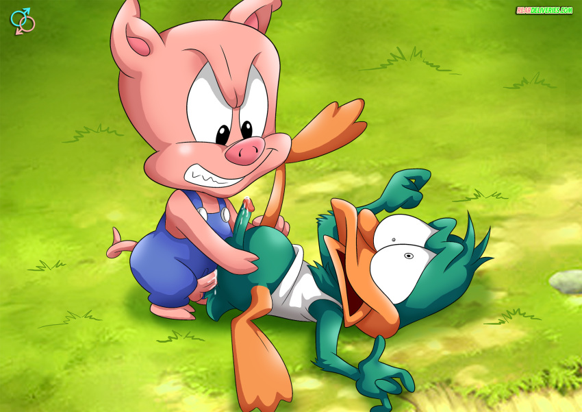 ahegao anal anal_rape bbmbbf cum cum_in_ass evil_grin fur34 fur34* hampton_j._pig outdoors palcomix penis plucky_duck rape rear_deliveries reardeliveries spread_legs tiny_toon_adventures yaoi