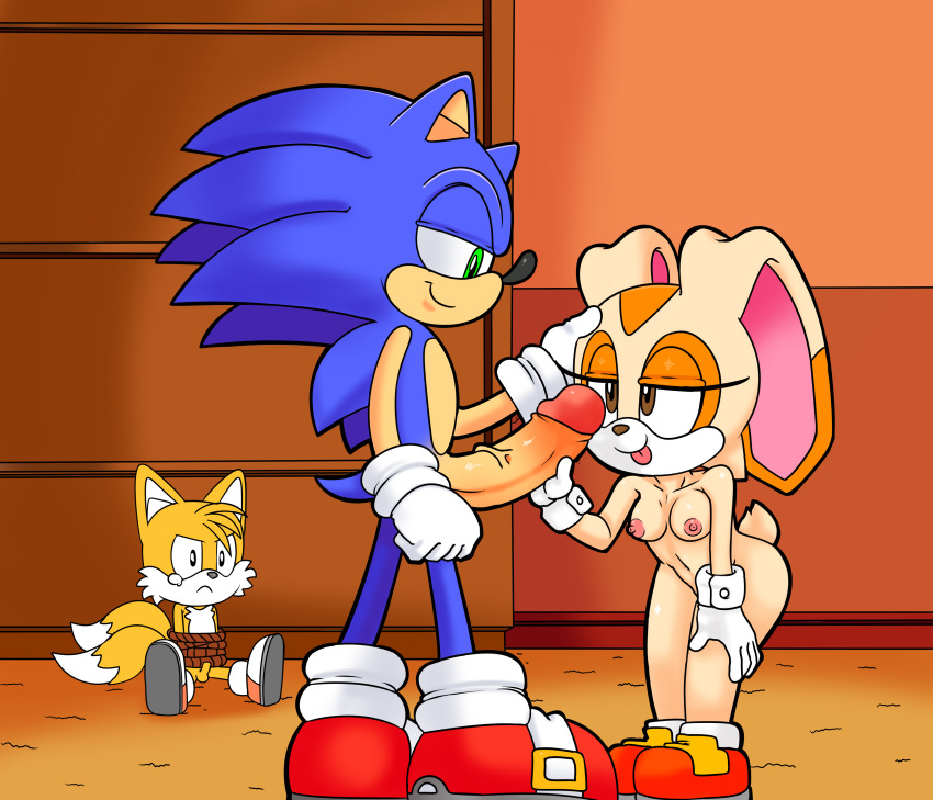 1girl anthro big_penis canine cream_the_rabbit dreamcastzx1 fox furry hedgehog kekitopu lagomorph male male/female mammal miles_"tails"_prower penis rabbit sega sonic_the_hedgehog tied-up