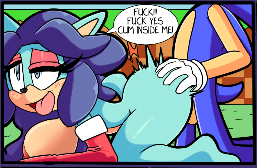 1girl anthro big_breasts big_penis breasts breezie_the_hedgehog cloudz dialogue dreamcastzx1 furry hedgehogs male penis porn_dialogue sega sonic_the_hedgehog