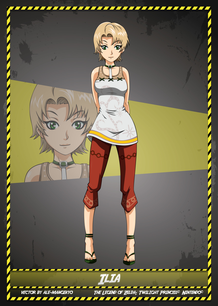 1girl ale-mangekyo big_breasts breasts female_only full_body ilia nintendo the_legend_of_zelda twilight_princess