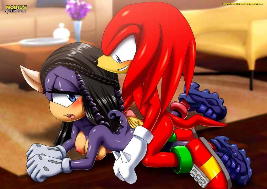 1boy 1girl archie_comics bbmbbf doggy_position knuckles_the_echidna male/female mobius_unleashed palcomix penetration salma_the_chameleon sega sonic_(series) sonic_the_hedgehog_(series) tagme