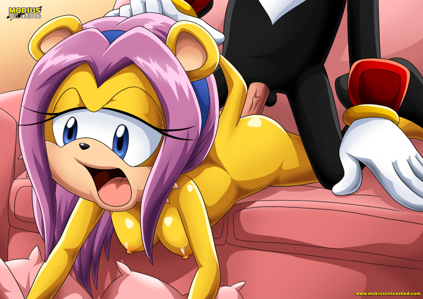 1girl 1male 2017 archie_comics bbmbbf isabella_mongoose mobius_unleashed nipples open_mouth palcomix sega shadow_the_hedgehog sonic_(series) sonic_the_hedgehog_(series) vaginal_penetration watermark web_address