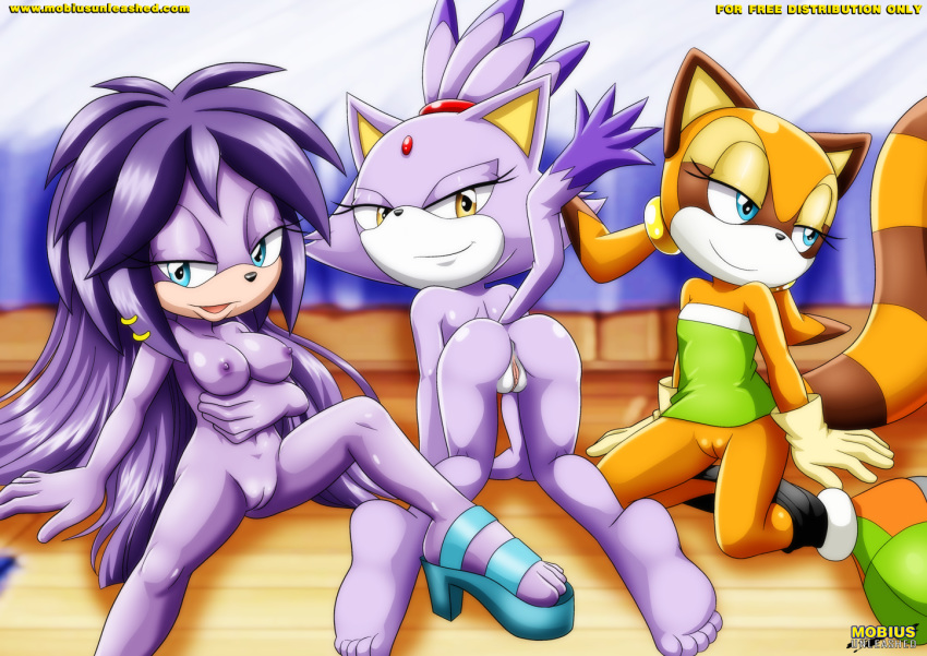 3girls archie_comics ass bbmbbf blaze_the_cat gala-na marine_the_raccoon mobius_unleashed palcomix sega sonic_(series) sonic_the_hedgehog_(series) vagina