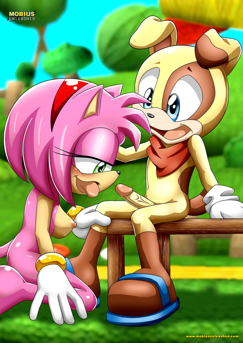 1boy 1girl 2018 amy_rose archie_comics bbmbbf ben_muttski erect_penis kneel looking_at_penis male/female mobius_unleashed mutt on_knees outside palcomix penis sega sonic_(series) sonic_the_hedgehog_(series)