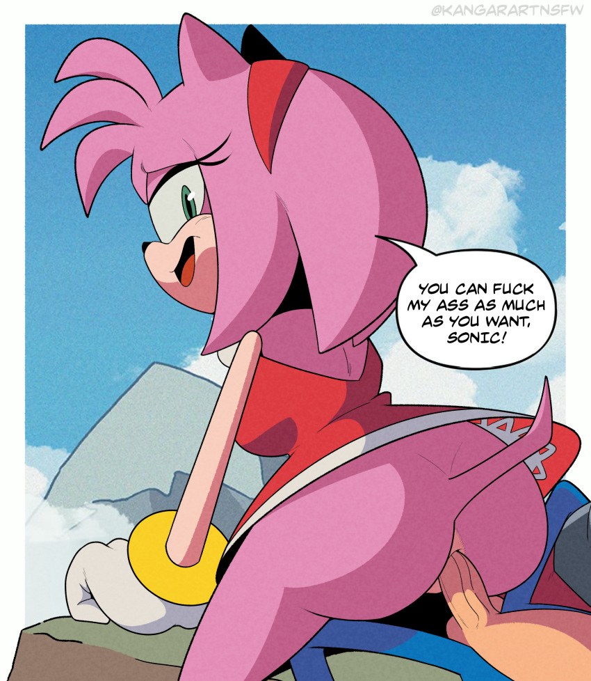 1boy 1girl amy_rose anal anal_sex anthro anus ass blue_skin dialogue female_on_top female_penetrated furry green_eyes hedgehog kangarart male_penetrating male_penetrating_female penis pink_skin reverse_cowgirl_position sega sex sonic_the_hedgehog sonic_the_hedgehog_(series) straight testicle text