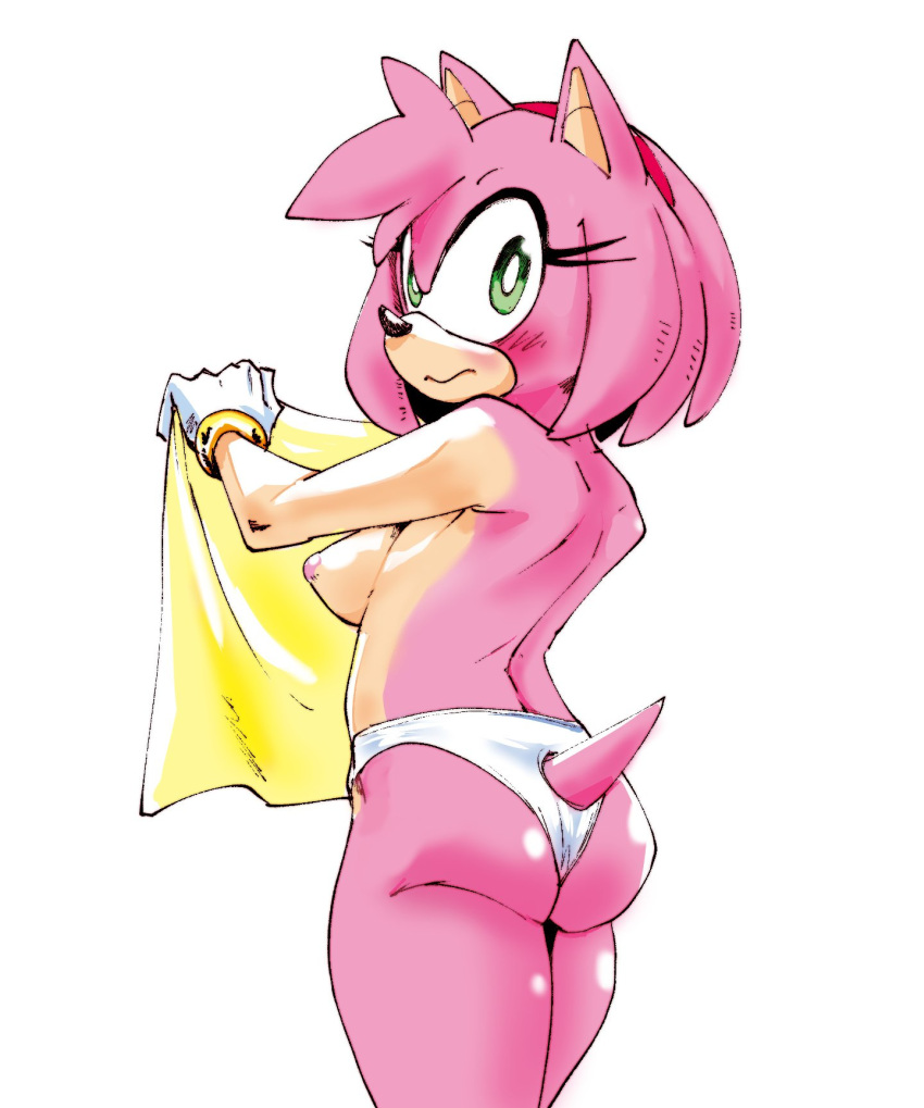 amy_rose box_chan sonic tagme