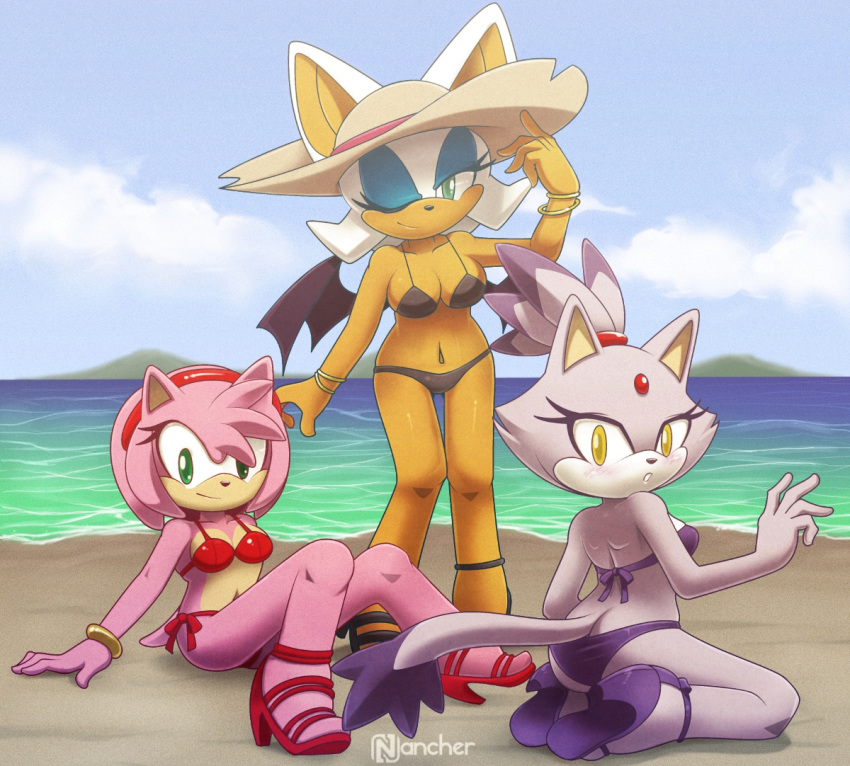 3_girls amy_rose bat bat_wings beach big_ears bikini blaze_the_cat blush cat feline female_only hat hedgehog high_heels long_tail nancher navel pink_fur purple_fur rouge_the_bat sega sonic_*(series) sonic_the_hedgehog_(series) white_fur wink