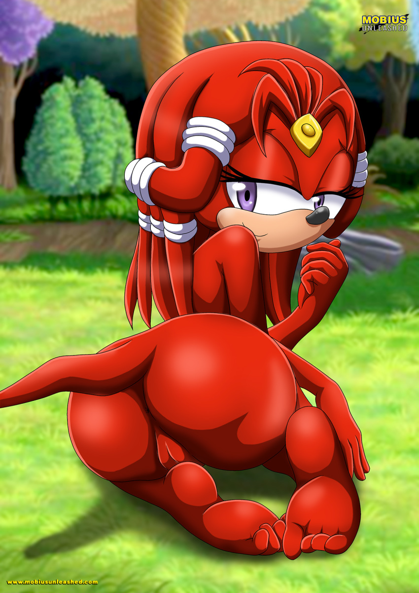 1girl anthro anus archie_comics ass bbmbbf echidna female furry looking_back mobius_unleashed palcomix pussy rita-le sega solo sonic_(series) sonic_the_hedgehog_(series) tagme