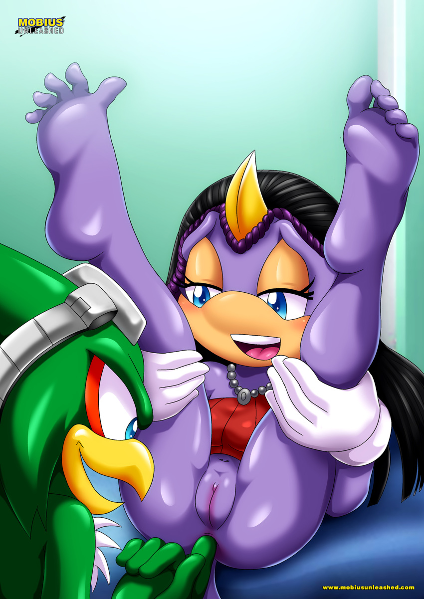 anal_fingering archie_comics bbmbbf black_hair feet jet_the_hawk moan mobius_unleashed palcomix pussy salma_the_chameleon sega soles sonic_(series) sonic_the_hedgehog_(series)