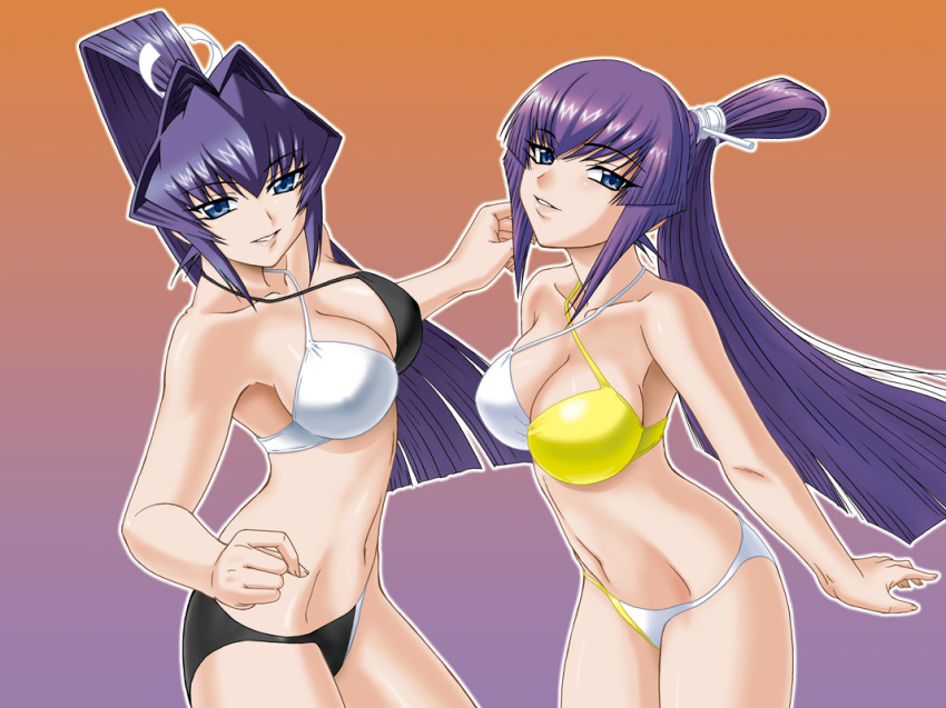 2girls bikini blue_eyes hair_intakes koubuin_yuuhi meiya_mitsurugi misnon_the_great mitsurugi_meiya multiple_girls muv-luv muvluv ponytail purple_hair swimsuit yuuhi_koubuin