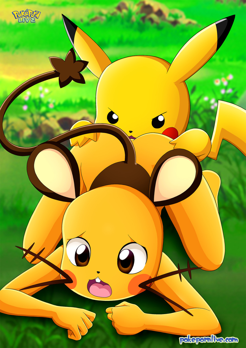 bbmbbf dedenne nintendo palcomix pikachu pokemon pokepornlive