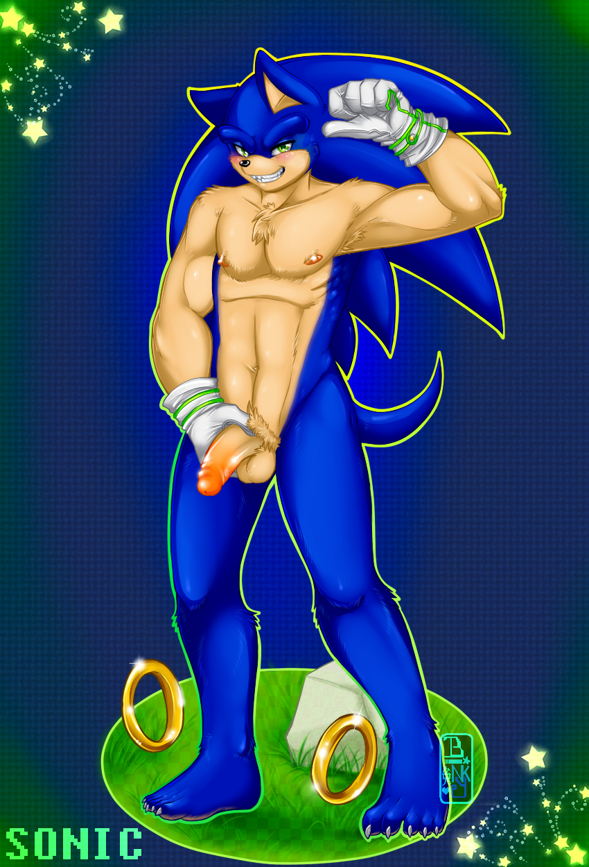 Sonic The Hedgehog Gay Porn - Sonic The Hedgehog Porn 7794 | furry gay muscle nipples soni