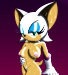 rouge_the_bat sega sonic_(series) sonic_team v13 rating:Explicit score:3 user:rule35