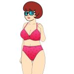 bra glasses panties scooby-doo velma_dinkley rating:Explicit score:1 user:RustyGimble