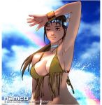 alluring bikini bikini_top bottomless bra michelle_chang naked_from_the_waist_down namco tekken tekken_1 tekken_2 tekken_tag_tournament tekken_tag_tournament_2 rating:Explicit score:17 user:calum1998