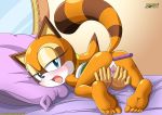 1girl anal anal_dildo anal_insertion asking_for_it ass bbmbbf blue_eyes blush dildo female horny looking_at_viewer marine_the_raccoon mobius_unleashed palcomix presenting pussy sega solo sonic_(series) sonic_team sonic_the_hedgehog_(series) spreading rating:Explicit score:29 user:Sonamy_fan02