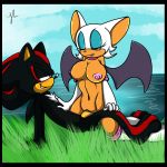 bat bat_ears bat_wings big_breasts black_fur blush boots breasts chiropteran erinaceinae erinaceinae_humanoid eyeshadow female furry gloves grassy_field hedgehog mammal membrane_(anatomy) membranous_wings multicolored_fur nipples nude penis red_eyes rouge_the_bat sega shadow_the_hedgehog smile sonic_(series) sonic_the_hedgehog_(series) tan_skin teal_eyes vaginal vaginal_sex white_hair wings yellowlucarios rating:Explicit score:9 user:MPLDAM9919