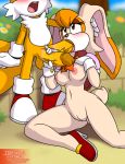 1girl 2016 anthro areola big_breasts breasts canine duo erection fellatio fox furry handjob irregular_fetishes lagomorph male mammal miles_"tails"_prower multi_penis multiple_penises navel nipples oral penis pussy rabbit sega sex testicles vanilla_the_rabbit rating:Explicit score:9 user:Furry_Love