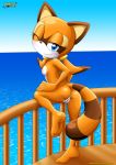 1girl anus ass barefoot bbmbbf full_body marine_the_raccoon mobius_unleashed palcomix pussy sega soles sonic_(series) sonic_the_hedgehog_(series) toes rating:Explicit score:23 user:Christianmar762