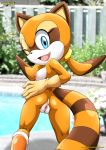 1girl ass bbmbbf marine_the_raccoon mobius_unleashed palcomix pussy sega sonic_(series) sonic_the_hedgehog_(series) rating:Explicit score:23 user:Christianmar762