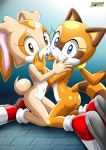 2017 2girls ass bbmbbf cream_the_rabbit marine_the_raccoon mobius_unleashed palcomix sega sonic_(series) sonic_the_hedgehog_(series) yuri rating:Questionable score:8 user:Christianmar762