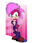 futanari sonia_the_hedgehog sonic_(series) sonic_team sonic_underground wdj rating:Explicit score:-5 user:rule35