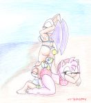  amy_rose ass bat beach bikini breasts closed_eyes cream_the_rabbit furry green_eyes heart_print looking_back ocean print_bikini rabbit rouge_the_bat sega smile sonic_(series) thong wings 