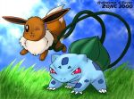 bulbasaur eevee nintendo pokemon