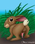 fiver from watership down