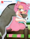  amy_rose beastiality chaos_x crossover donkey dreamworks furry_bomb mitsuharu_takura sega shrek sonic_(series) sonic_the_hedgehog_(series) 