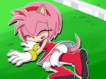  1girl amy_rose anthro female_only furry green_eyes hedgehog panties pantyshot pink_body sega sonic_the_hedgehog_(series) upskirt 