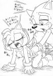  amy_rose furry_bomb mitsuharu_takura sega sonic sonic_the_hedgehog sonic_the_hedgehog_(series) text 