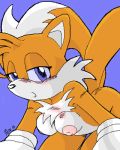  2005 all_fours blue_eyes blush breasts canine chest_tuft crossgender female fox genderswap gloves kitsune looking_at_viewer miles_&quot;tails&quot;_prower millie_tailsko multiple_tails orange_(fruit) peterson sega solo sonic_(series) sonic_the_hedgehog_(series) tail 