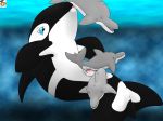  dolphin ecco_the_dolphin ecco_the_dolphin_(series) gangbang group_sex killer_whales orca surfing_charizard 