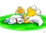  miles_&quot;tails&quot;_prower multiple_tails sega sonic_(series) sonic_team tail tt twotails yaoi 