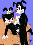 anal animaniacs ass cum cum_drip cum_in_ass cum_inside dot_warner erect_nipples erection female_masturbation fingering fingering_self flat_chested hairless_pussy incest internal_cumshot kthanid masturbation nipples nude orgasm penis pussy pussy_juice small_breasts squirt wakko_warner