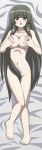  1girl akeno_shiranui awa barefoot blush breasts censor_hair censored convenient_censoring dakimakura green_eyes hair_censor long_hair long_image nude oekaki seto_no_hanayome shiranui_akeno solo tall_image very_long_hair 