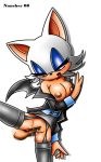 nancher rouge_the_bat sega sonic_(series) sonic_the_hedgehog_(series) vaginal vaginal_penetration