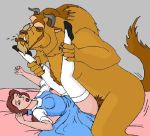 beauty_and_the_beast disney dreess dress_lift panze princess_belle stockings tagme the_beast