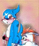 digimon gomamon tagme veemon