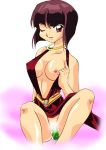 nabiki_tendo ranma_1/2 tagme