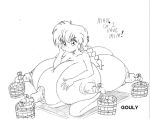  gouly ranko ranma_1/2 ranma_saotome 