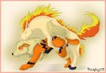 arcanine pokemon ponyta tagme