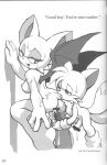  miles_&quot;tails&quot;_prower multiple_tails rouge_the_bat sega sonic sonic_team tail text vixen_tamer vixen_tamer_(artist) 