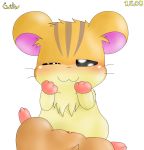  curby hamtaro simple_background torahamu-chan torahamu-kun whiskers white_background 