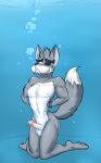 wolf o'donnell from nintendo by byondrage