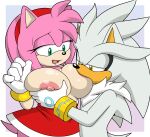amy rose from sega by sonicguru
