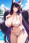 musashi (azur lane) from azur lane